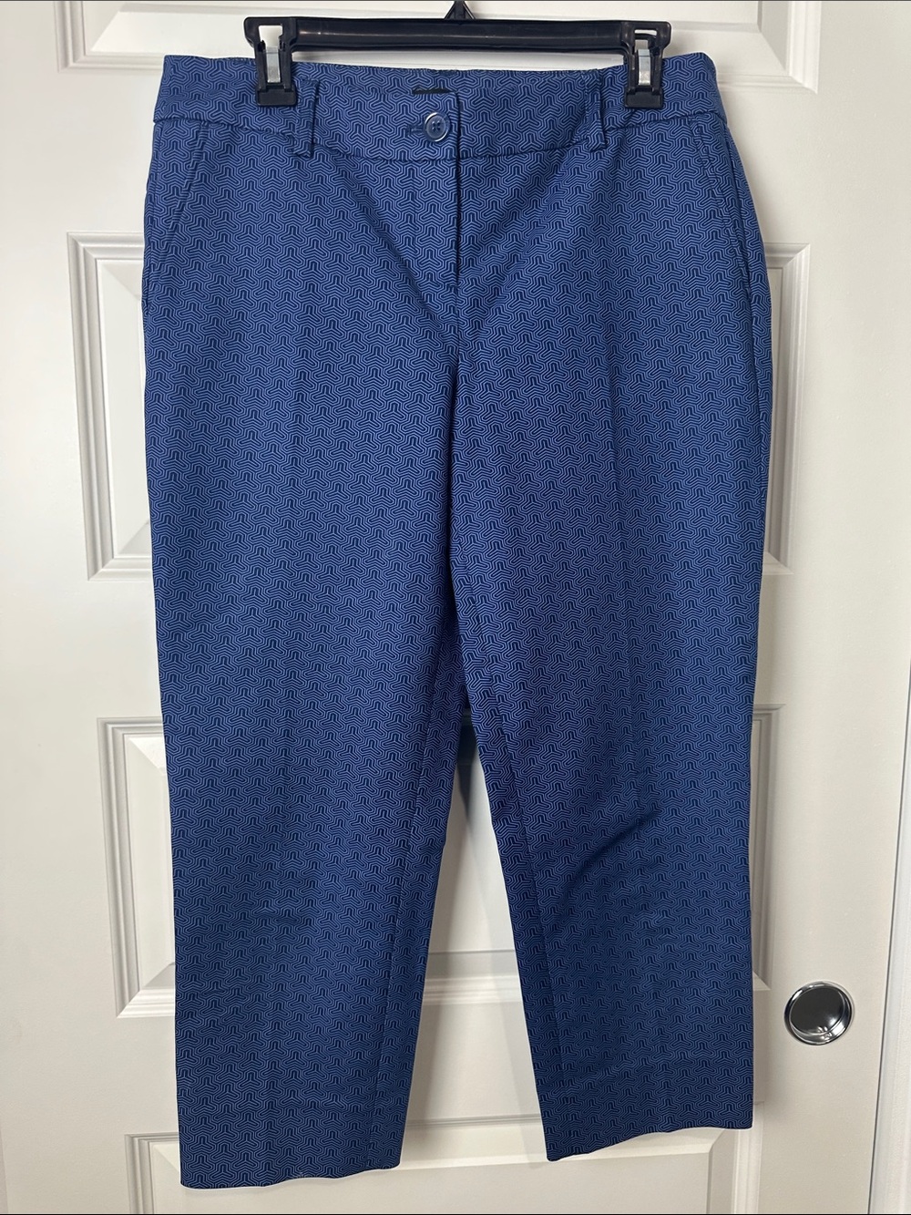 Hilary Radley Blue Abstract Cropped Ankle Dress Pants Size 4